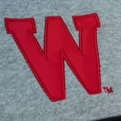 Mitchell & Ness Hoodies & Sweatshirts-Head Coach Hoodie University Of Wisconsin - Madison