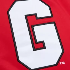 Mitchell & Ness Jackets & Outerwear-Heavyweight Satin Jacket University Of Georgia