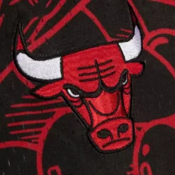 Mitchell & Ness Shorts-Hebru Shorts Chicago Bulls