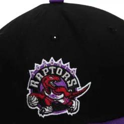 Mitchell & Ness Snapback-Highlight Real Carter Snapback Hwc Toronto Raptors