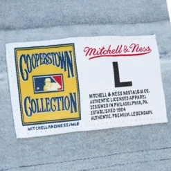 Mitchell & Ness T-Shirts & Tops-Highlight Sublimated Player Tee Seattle Mariners Ken Griffey Jr