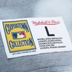 Mitchell & Ness T-Shirts & Tops-Highlight Sublimated Player Tee Anaheim Angels Vladimir Guerrero