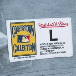 Mitchell & Ness T-Shirts & Tops-Highlight Sublimated Player Tee Chicago Cubs Ernie Banks