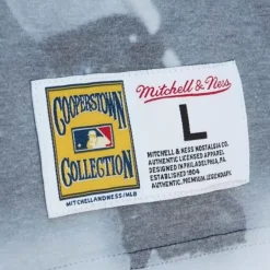 Mitchell & Ness T-Shirts & Tops-Highlight Sublimated Player Tee Houston Astros Jeff Bagwell