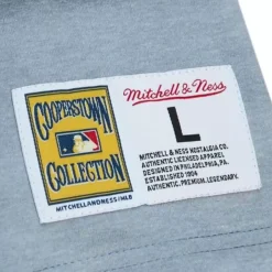 Mitchell & Ness T-Shirts & Tops-Highlight Sublimated Player Tee Boston Red Sox David Ortiz