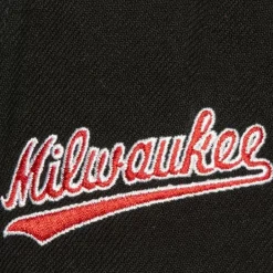 Mitchell & Ness Snapback-Icon Grail Pro Snapback Hwc Milwaukee Bucks