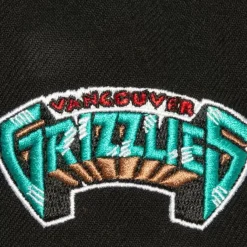 Mitchell & Ness Snapback-Icon Grail Pro Snapback Hwc Vancouver Grizzlies