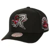 Mitchell & Ness Snapback-Icon Grail Pro Snapback Hwc Toronto Raptors
