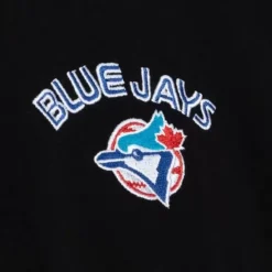 Mitchell & Ness T-Shirts & Tops-Insignia Ss Tee Toronto Blue Jays