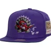 Mitchell & Ness Snapback-Jersey Love Snapback Hwc Toronto Raptors