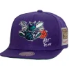 Mitchell & Ness Snapback-Jersey Love Snapback Hwc Charlotte Hornets
