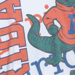 Mitchell & Ness T-Shirts & Tops-Jumbotron 2.0 Sublimated Ss Tee University Of Florida