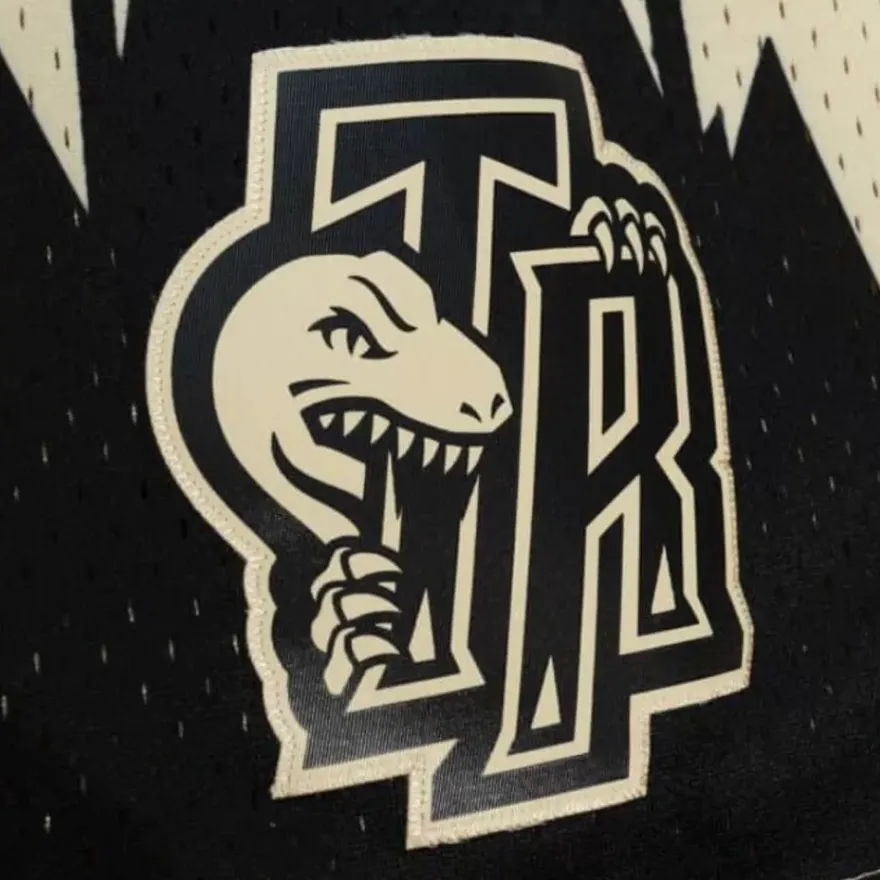 Mitchell & Ness Shorts-Khaki Black Swingman Toronto Raptors 1998-99 Shorts