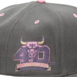 Mitchell & Ness Fitted-Lavender Dreams Fitted Hwc Chicago Bulls