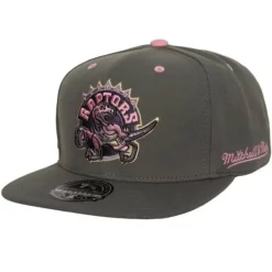 Mitchell & Ness Fitted-Lavender Dreams Fitted Hwc Toronto Raptors