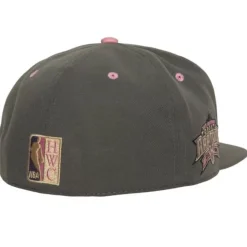 Mitchell & Ness Fitted-Lavender Dreams Fitted Hwc Toronto Raptors