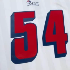 Mitchell & Ness Nfl Legacy-Legacy Tedy Bruschi New England Patriots 1996 Jersey