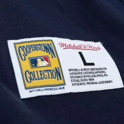 Mitchell & Ness T-Shirts & Tops-Legendary Slub Henley Chicago White Sox