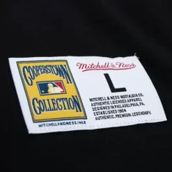 Mitchell & Ness T-Shirts & Tops-Legendary Slub Henley Pittsburgh Pirates