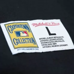 Mitchell & Ness T-Shirts & Tops-Legendary Slub Henley San Francisco Giants