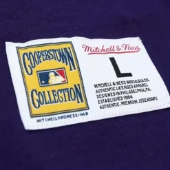 Mitchell & Ness T-Shirts & Tops-Legendary Slub Henley Tampa Bay Rays