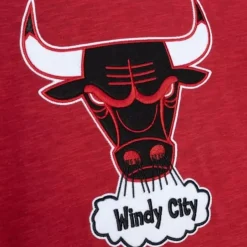 Mitchell & Ness T-Shirts & Tops-Legendary Slub Longsleeve Chicago Bulls