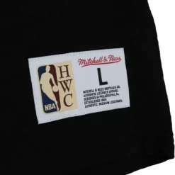 Mitchell & Ness T-Shirts & Tops-Legendary Slub Longsleeve Boston Celtics