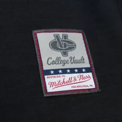 Mitchell & Ness T-Shirts & Tops-Legendary Slub Longsleeve Louisiana State University