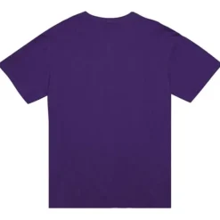 Mitchell & Ness T-Shirts & Tops-Legendary Slub S/S Tee All Star 1995