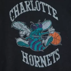 Mitchell & Ness T-Shirts & Tops-Legendary Slub S/S Tee Charlotte Hornets