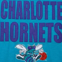 Mitchell & Ness T-Shirts & Tops-Legendary Slub S/S Tee Charlotte Hornets