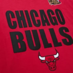 Mitchell & Ness T-Shirts & Tops-Legendary Slub S/S Tee Chicago Bulls