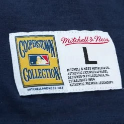 Mitchell & Ness T-Shirts & Tops-Legendary Slub S/S Tee Detroit Tigers
