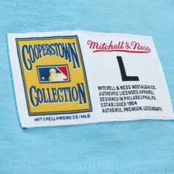 Mitchell & Ness T-Shirts & Tops-Legendary Slub Ss Tee St. Louis Cardinals