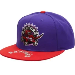 Mitchell & Ness Snapback-Logo Bill Snapback Hwc Toronto Raptors