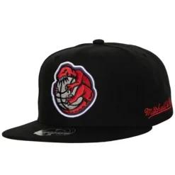 Mitchell & Ness Fitted-Logo History Fitted Hwc Toronto Raptors