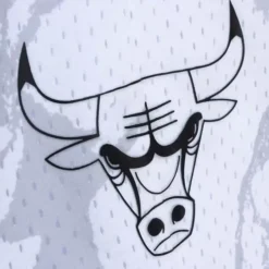 Mitchell & Ness Shorts-Marble Swingman Chicago Bulls 1997 Shorts