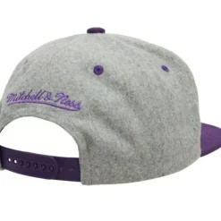 Mitchell & Ness Snapback-Melton Patch Snapback Hwc Toronto Raptors
