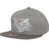 Mitchell & Ness Snapback-Metallic Grey Snapback Hwc Charlotte Hornets