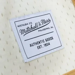 Mitchell & Ness M&N Brand-Game Day 2.0 Shorts