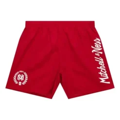 Mitchell & Ness M&N Brand-Team Essentials Nylon Shorts