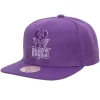 Mitchell & Ness Snapback-Monochromatic Snapback Hwc Milwaukee Bucks