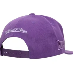 Mitchell & Ness Snapback-Monochromatic Snapback Hwc Milwaukee Bucks