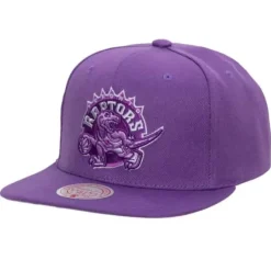 Mitchell & Ness Snapback-Monochromatic Snapback Hwc Toronto Raptors