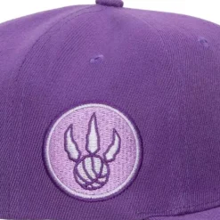 Mitchell & Ness Snapback-Monochromatic Snapback Hwc Toronto Raptors