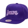 Mitchell & Ness Snapback-Monochromatic Snapback Hwc Los Angeles Lakers