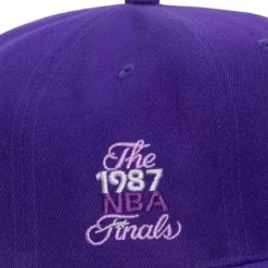 Mitchell & Ness Snapback-Monochromatic Snapback Hwc Los Angeles Lakers