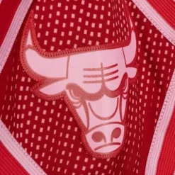 Mitchell & Ness Nba Swingman-Monochrome Swingman Chicago Bulls 2008-09 Shorts