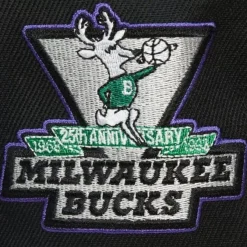 Mitchell & Ness Snapback-My Squad Snapback Hwc Milwaukee Bucks