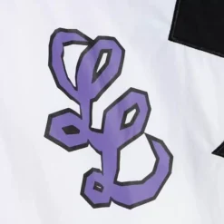 Mitchell & Ness Jackets & Outerwear-My Towns Legends League 